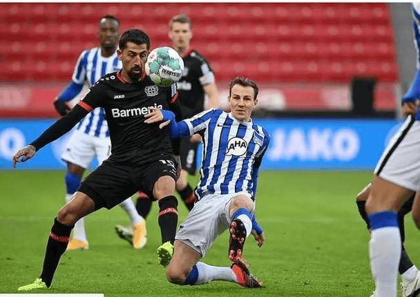 开云体育入口-博洛尼亚主场不敌维罗纳，遭遇连败